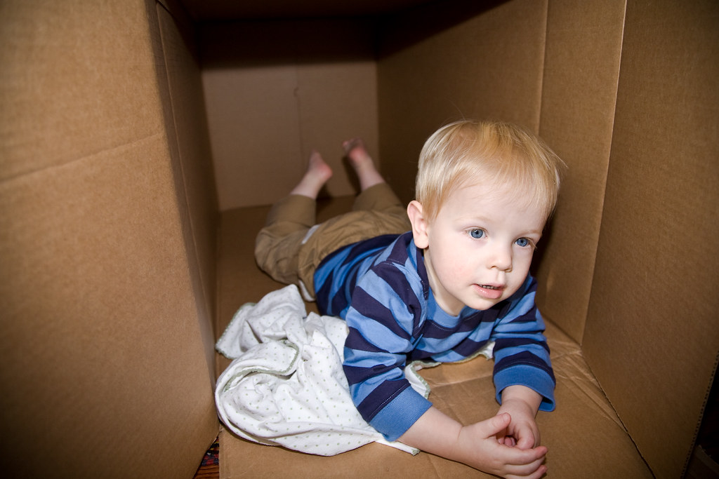 Cardboard Box, Toy Hall of Fame
