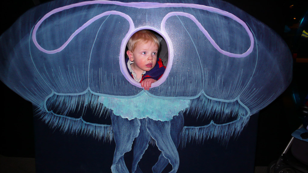 No-Napping Alex at the Aquarium