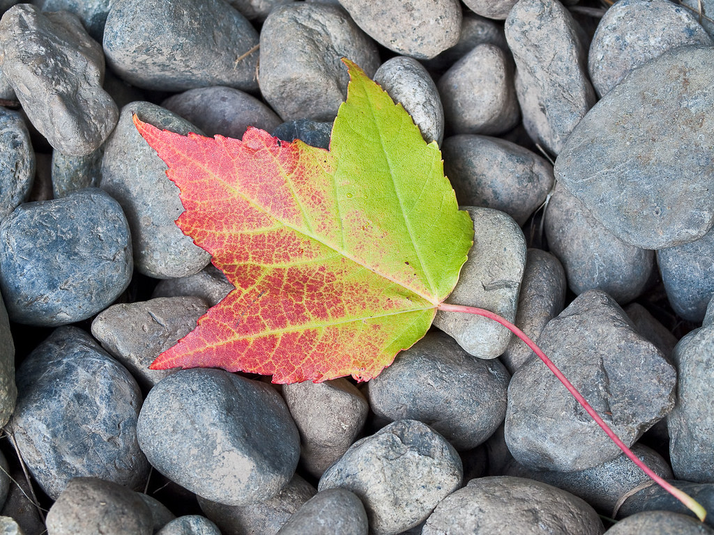 Goodbye October…