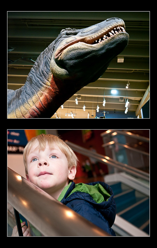 Boy Meets Dinosaur
