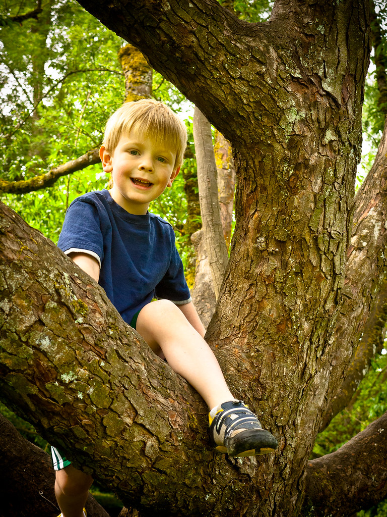 Climbing a Tree