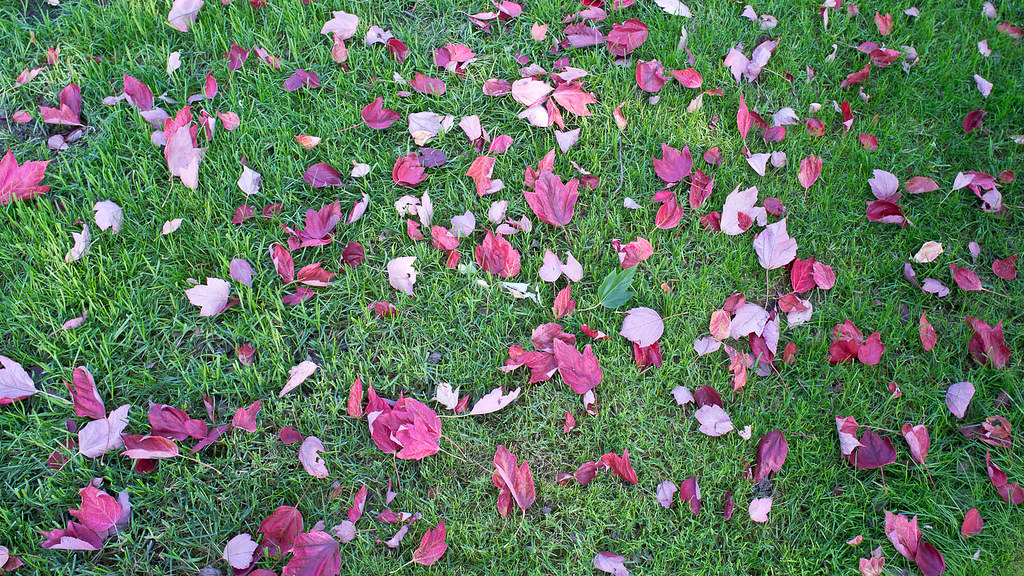 Happy First Day of Fall