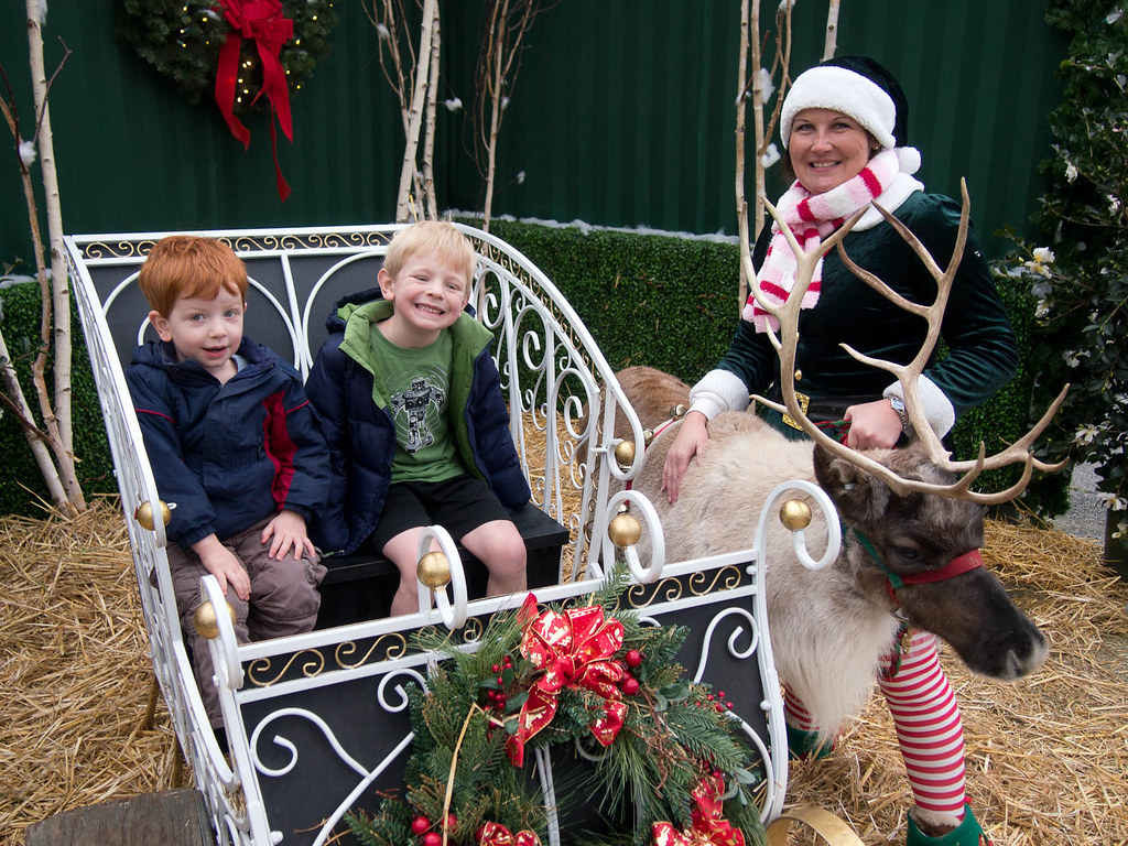 Swanson's Reindeer Festival