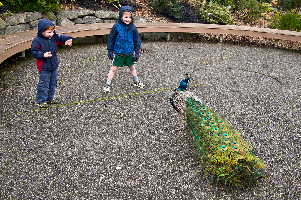 Point Defiance Zoo and Aquarium
