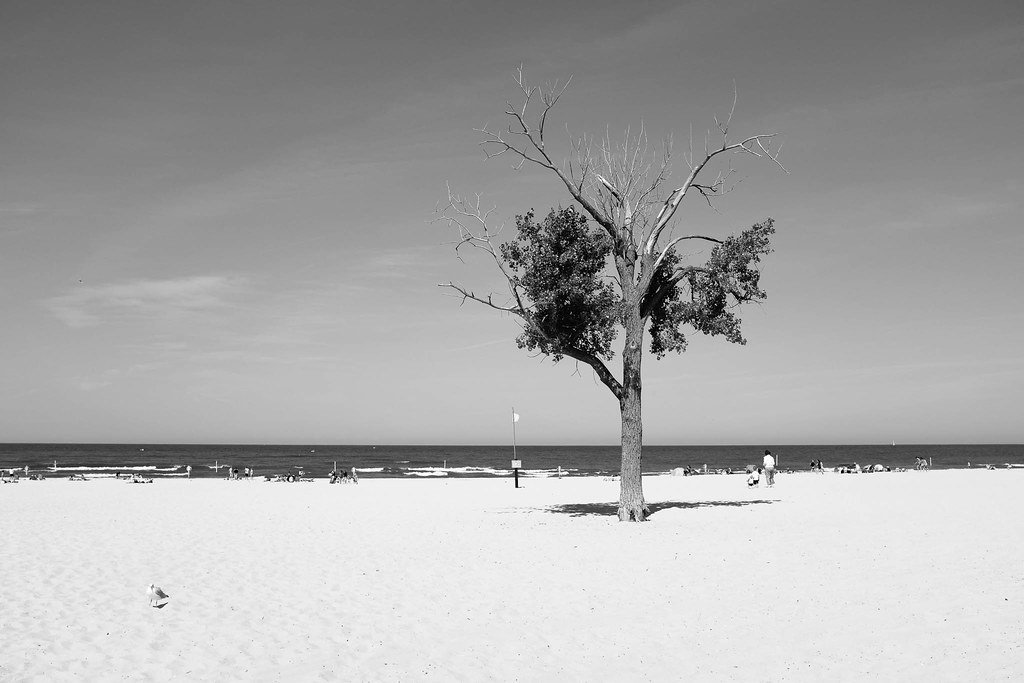 Sandy Beaches