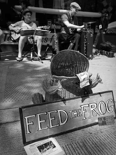 Feed the Frog