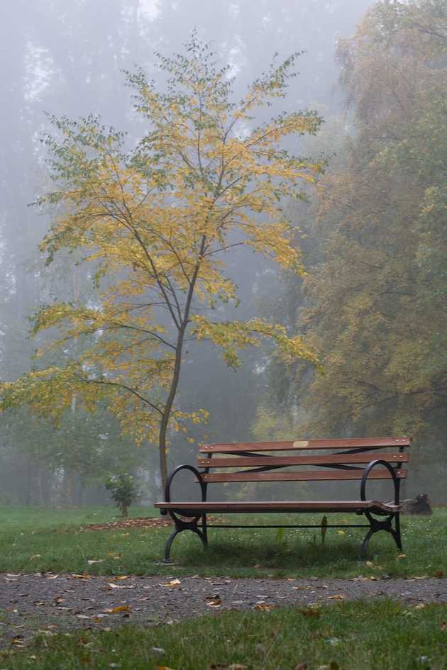 A Place to Sit