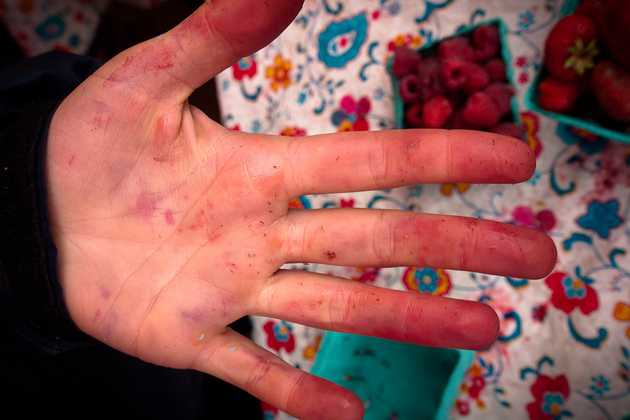 Berry-Stained Hands
