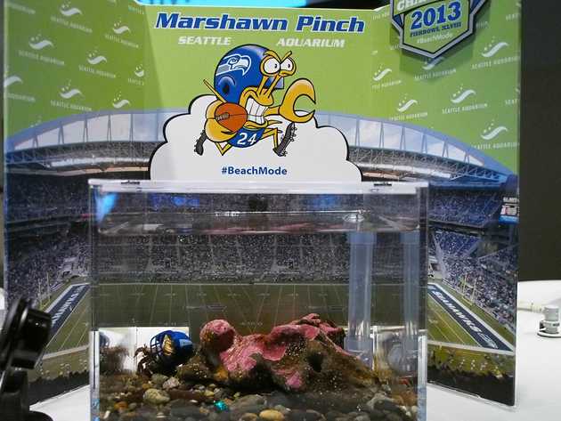 Marshawn Pinch