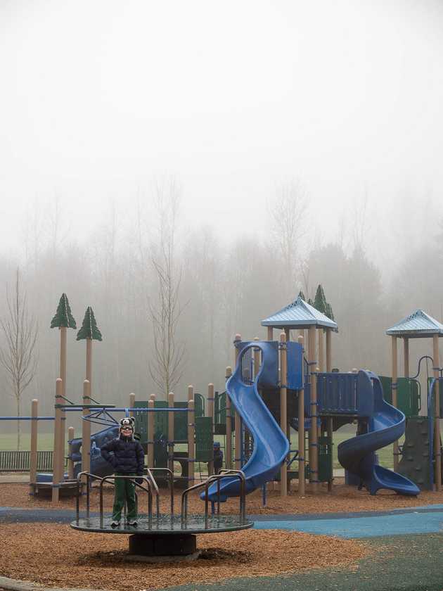 Meadowbrook Park in the Fog