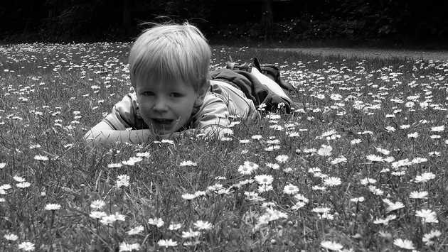 Carkeek Meadow