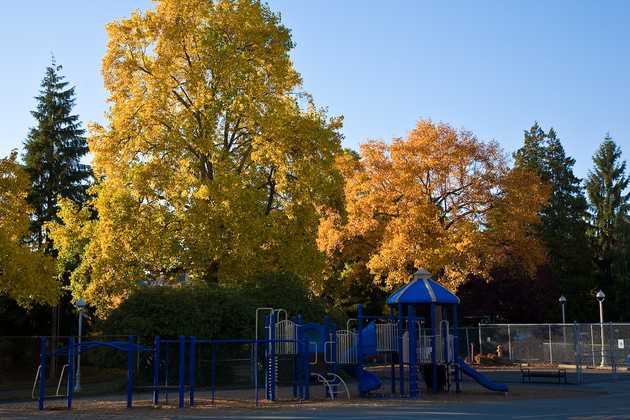 Playground and Fall Colors