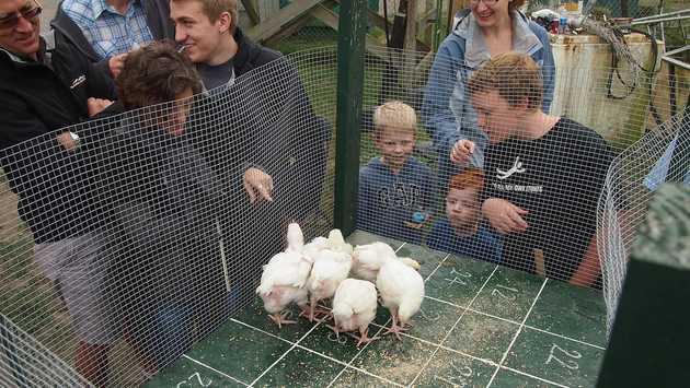 Chicken Poop Bingo! (2011)