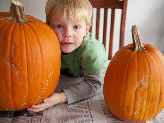 A Boy and his Pumpkins