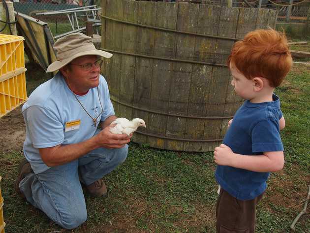 Patrick Meets a Chicken